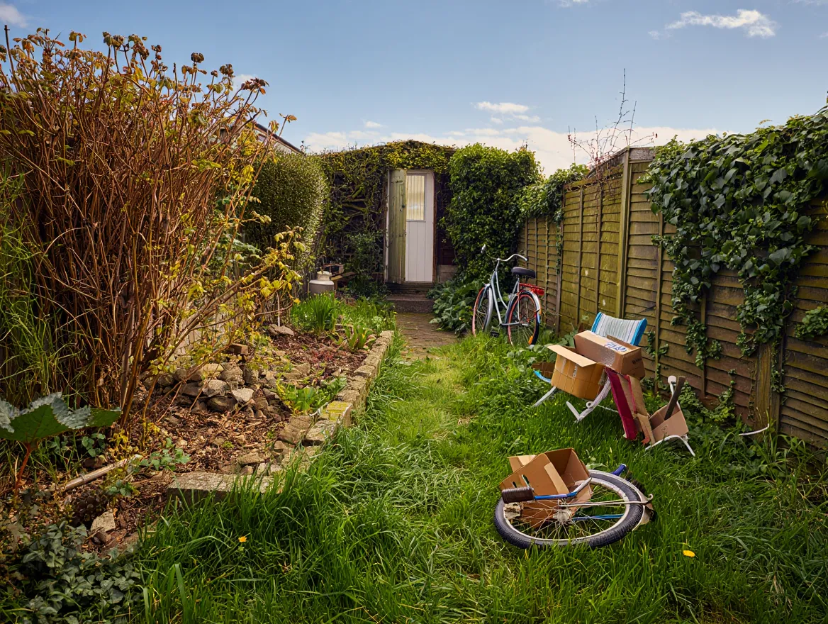 Untidy yard before cleanup